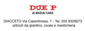 sponsor 22 duep